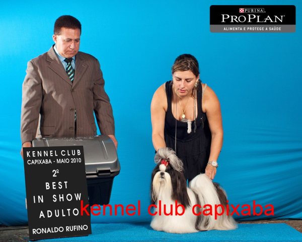 Clique sobre a foto para fechar